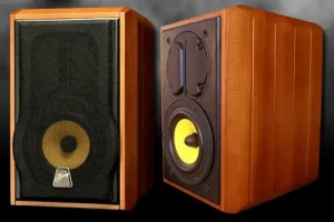 Bookshelf Speakers of Superior Quality for Home Audio & Music