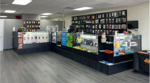 Tips by Cell Phone Repair Shop to Take Care of Your Phone this Summer