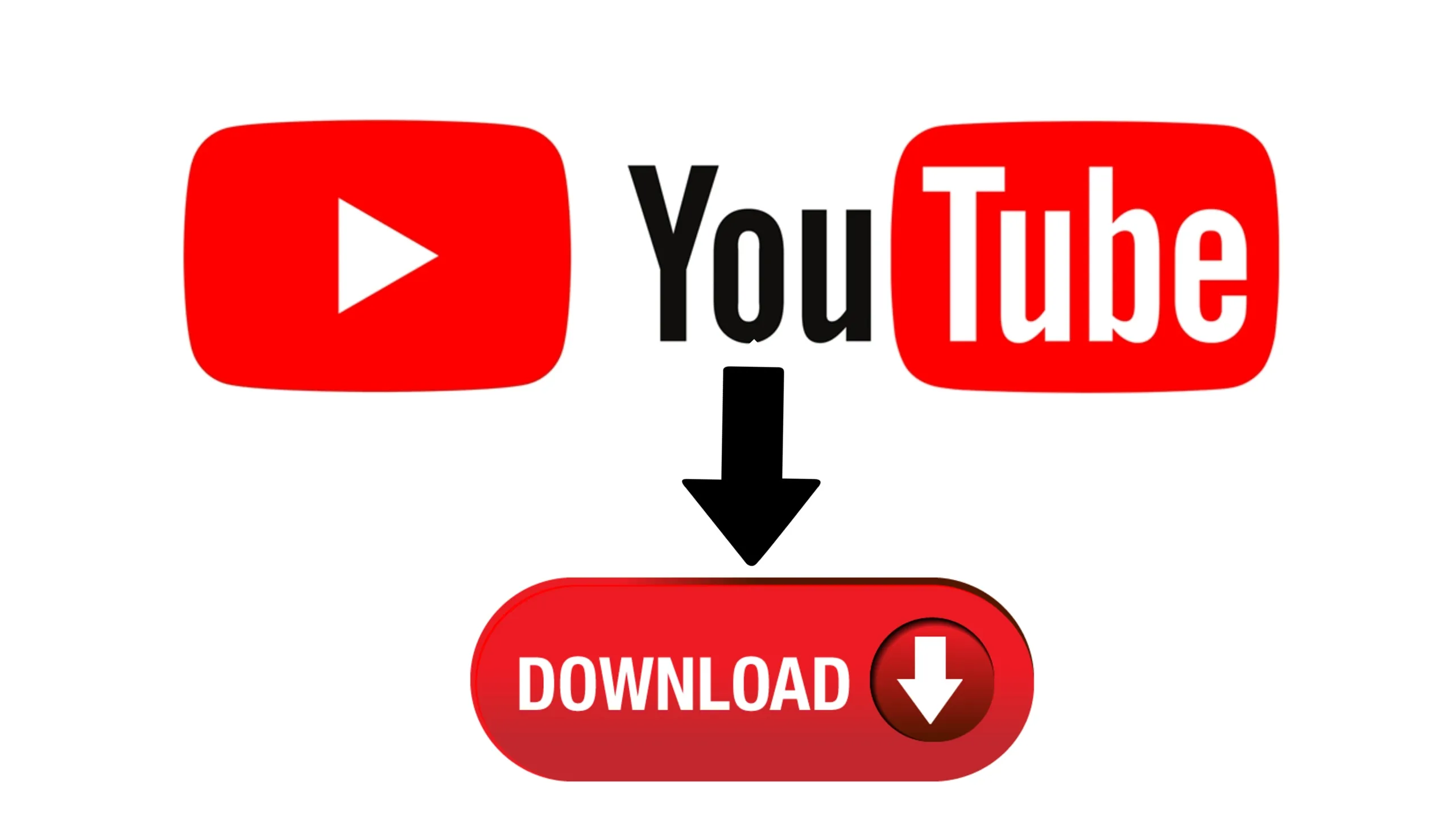 How To Use YouTube Video Downloader How To Use YouTube Video Downloader