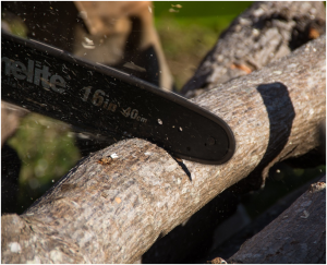 Easiest Ways To Prune Your Trees For A Well-Maintained Landscaping