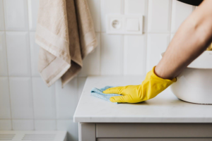 6 Tips for Crafting a Pest-Free Environment at Home