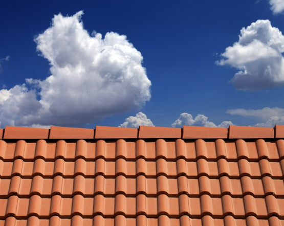 The Best Way to Keep Your Tile Roof Clean