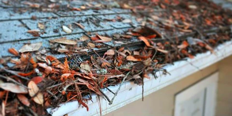 Clogged Gutter Problems - Prevent Water Damage Around Home