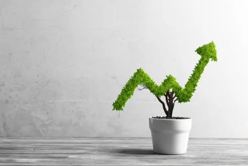Stalled Business Growth - Find Constraints Before Spending More