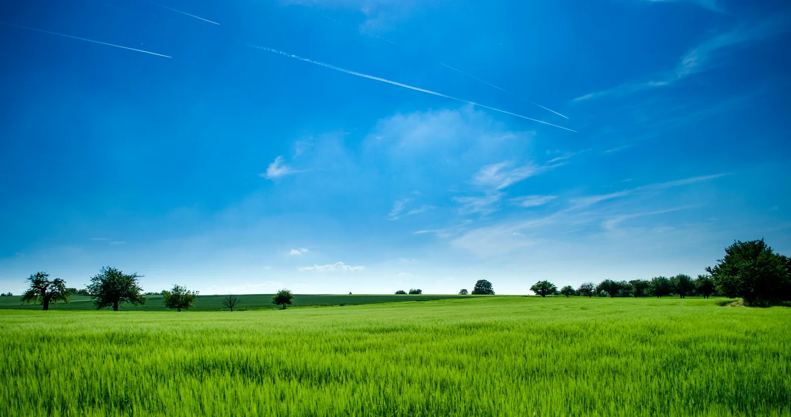 Vacant Land Buying - Check Access Before Making Offers