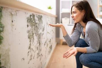 Moldy Bathroom Walls - Stop Growth and Reduce Moisture