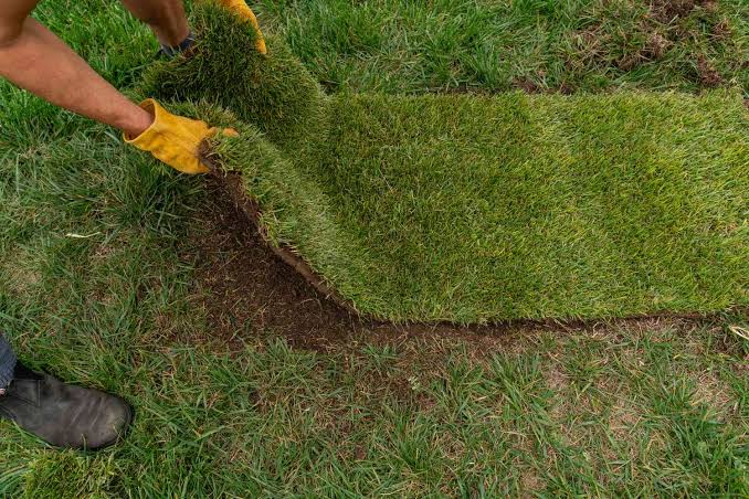 Patchy Lawn Areas - Restore Grass Without Full Replacement